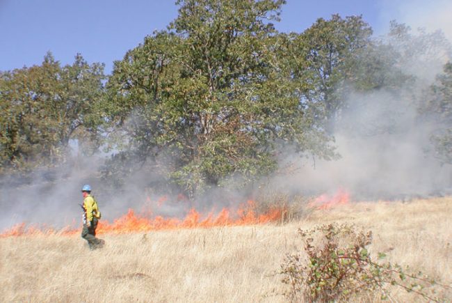 Controlled ecological burn at Mount Pisgah.